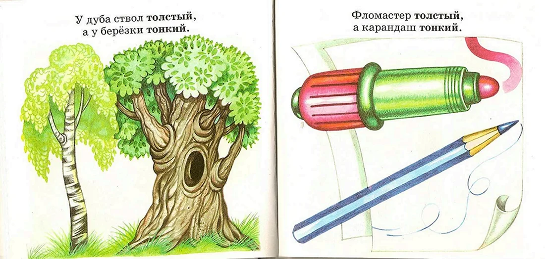 Толстый и тонкий