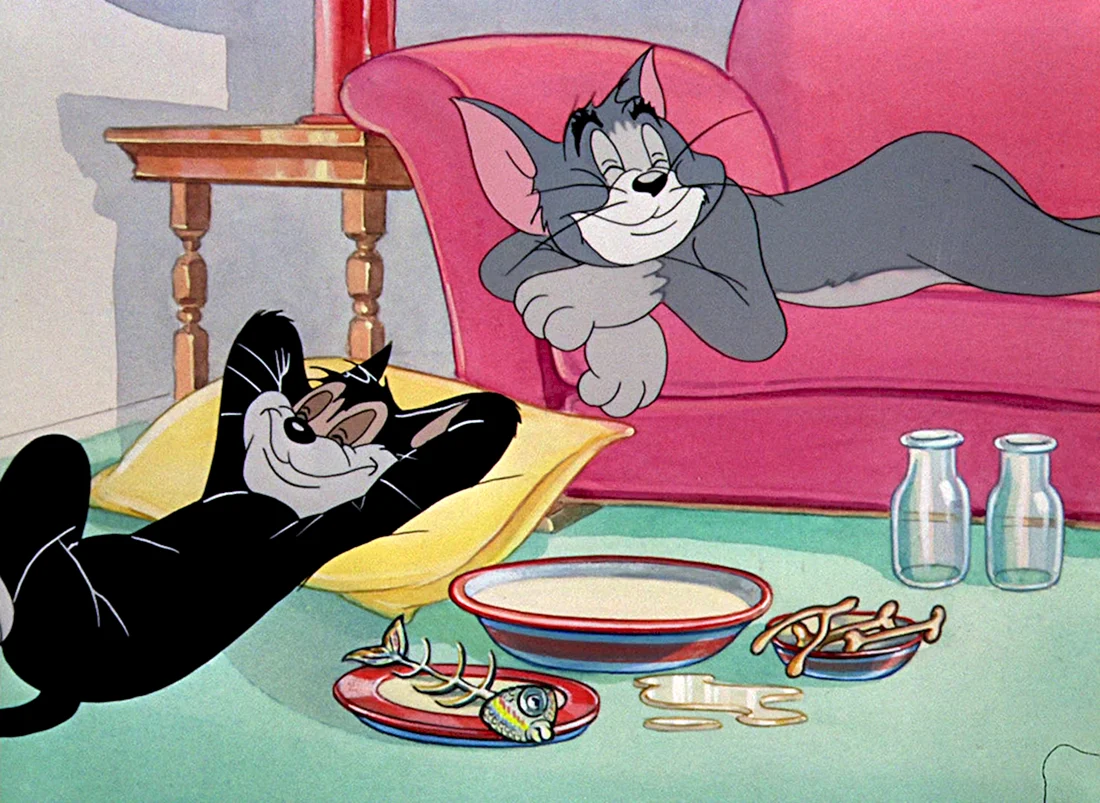 Tom Jerry мультфильм