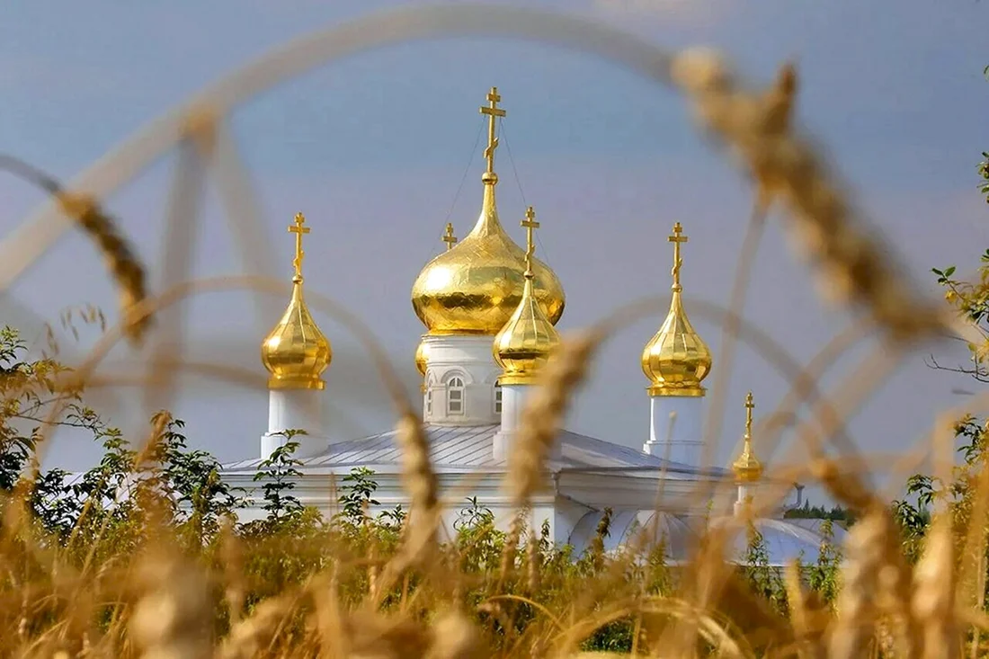 Церкви. Золотые купола