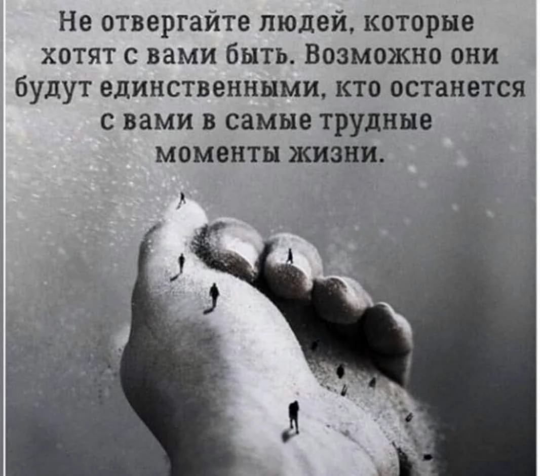 Цитаты