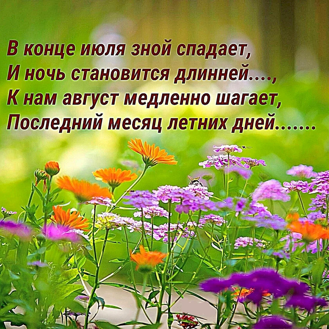 Цитаты о лете