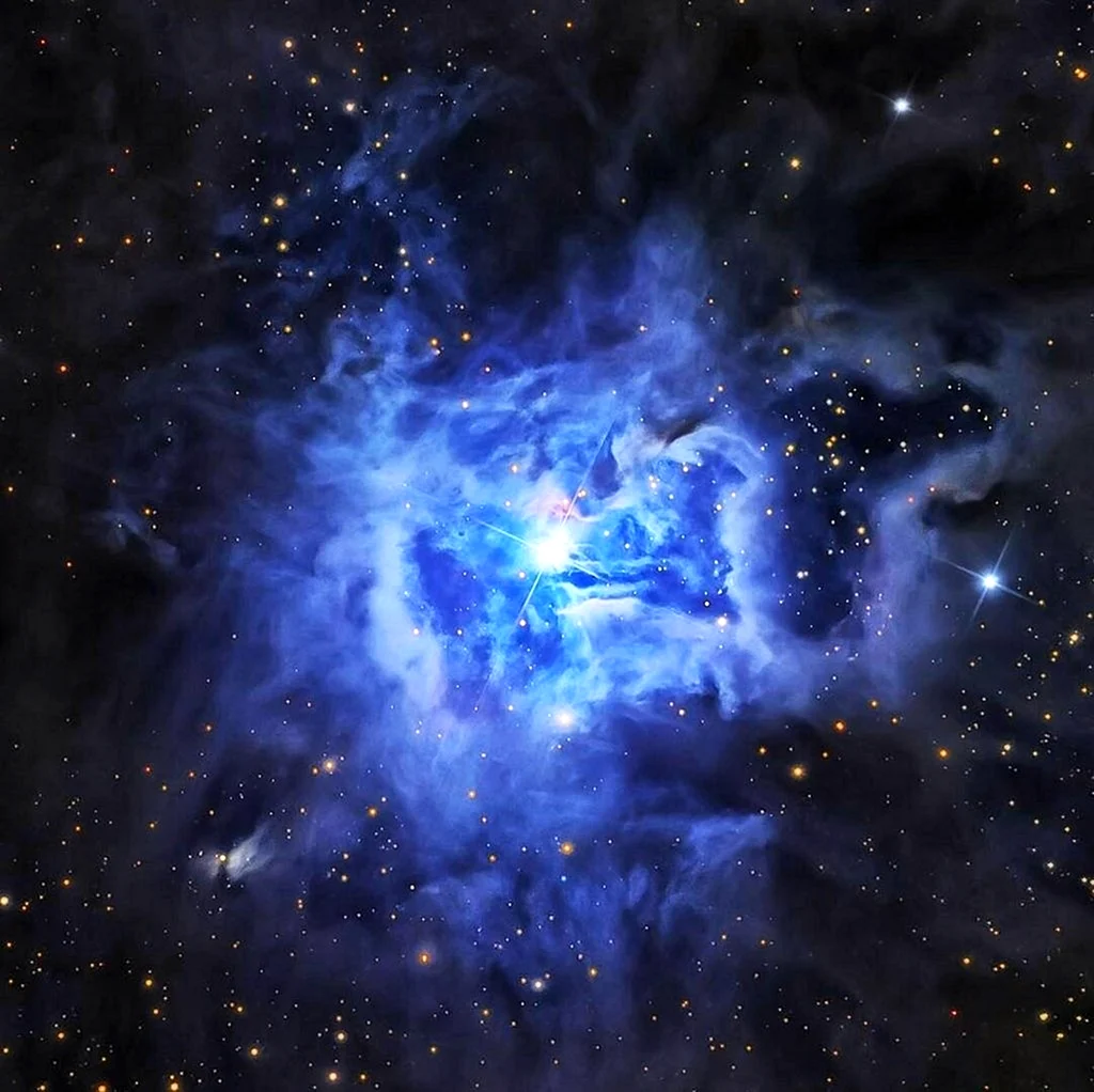Туманность Ирис NGC 7023