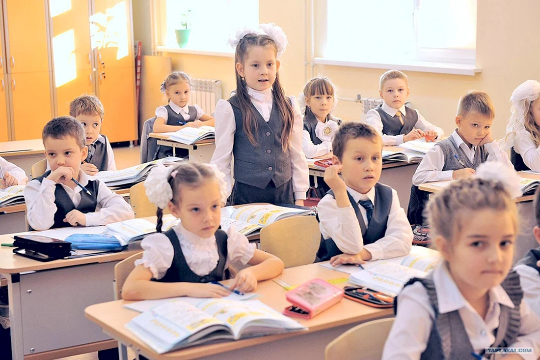 Ученики в школе