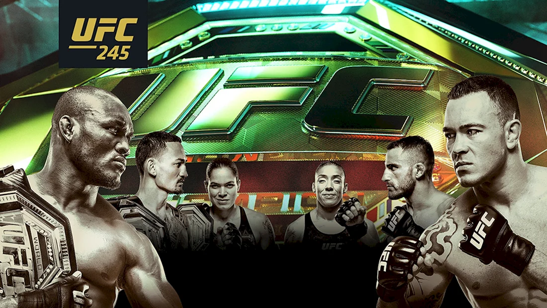 UFC 245