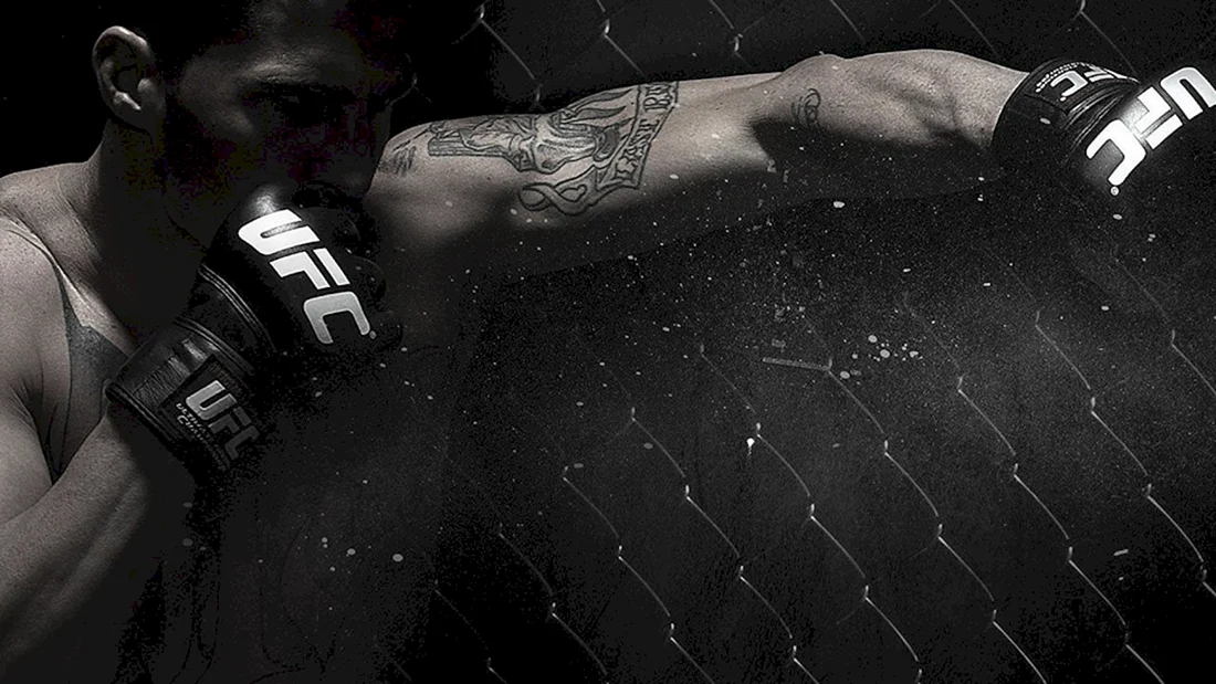 UFC MMA