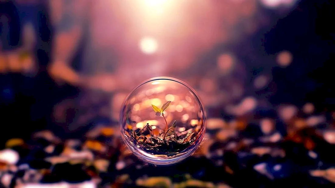 Вдохновение