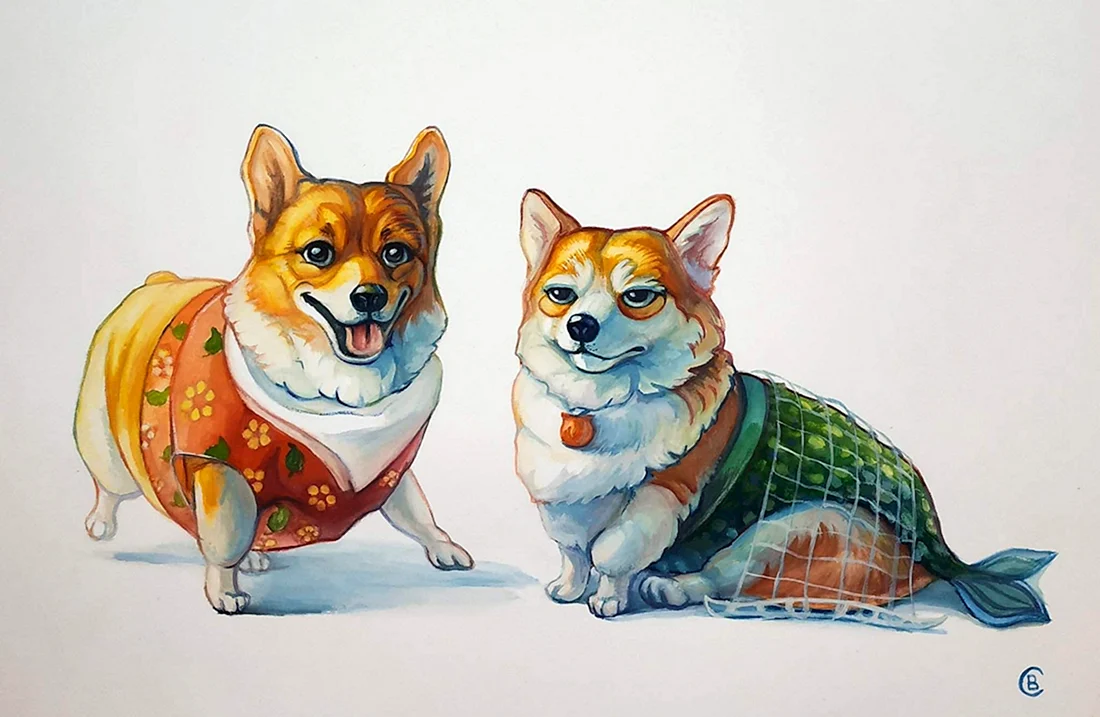 Вельш корги арт