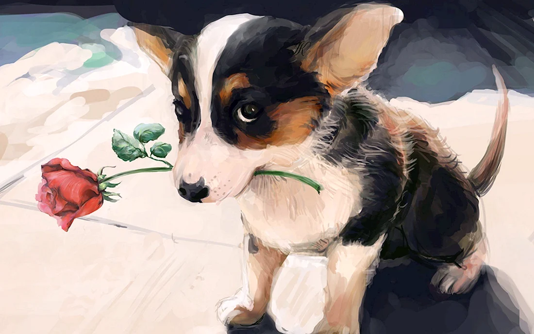 Вельш корги арт