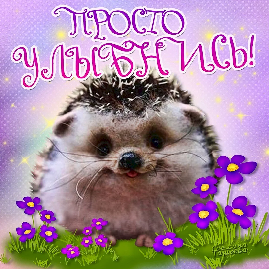 Веселые картинки для настроения
