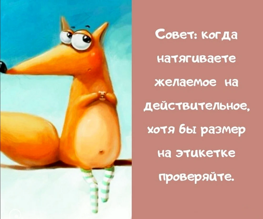Веселые цитаты