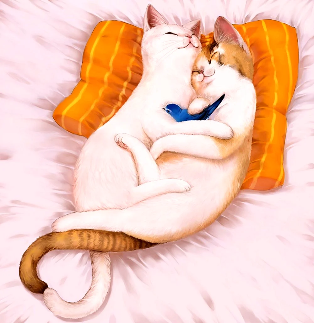 Влюбленные кошки