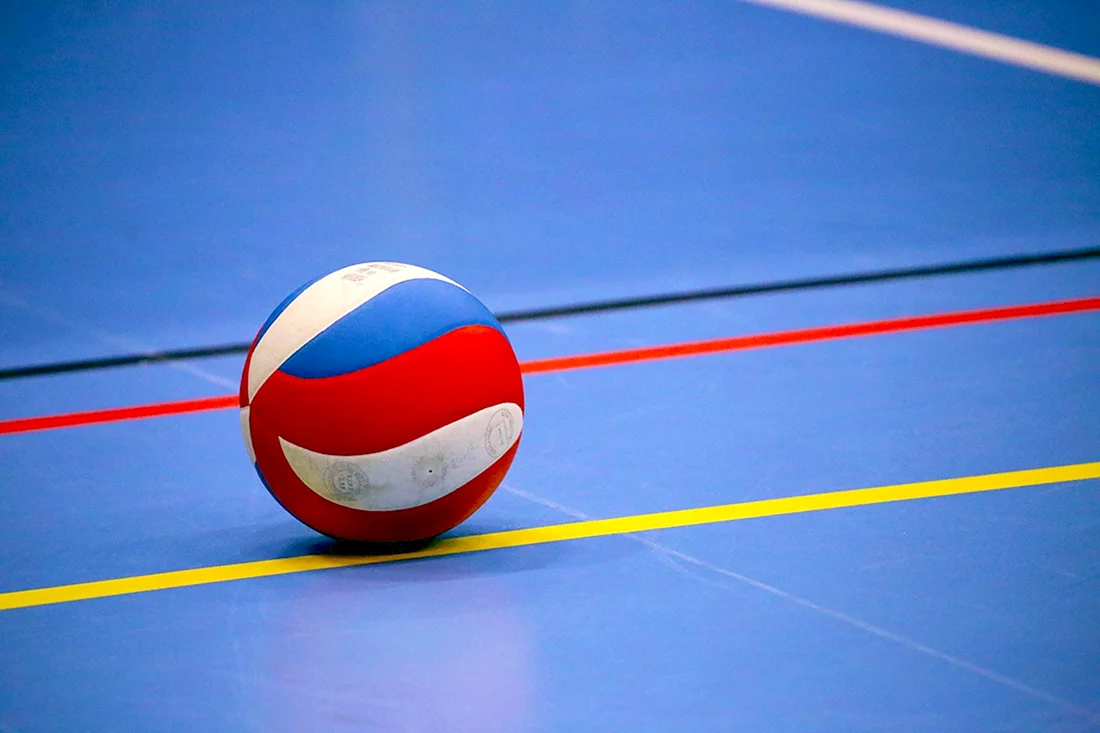 Волейбольный мяч Volleyball