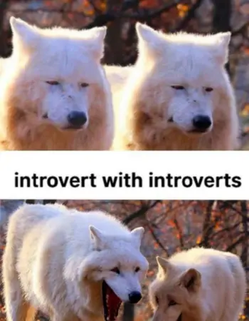 Волки интроверты