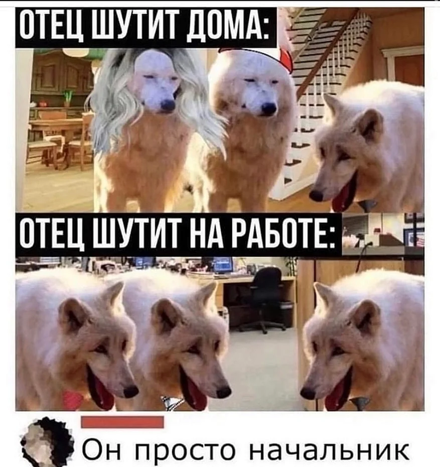Волки смеются Мем