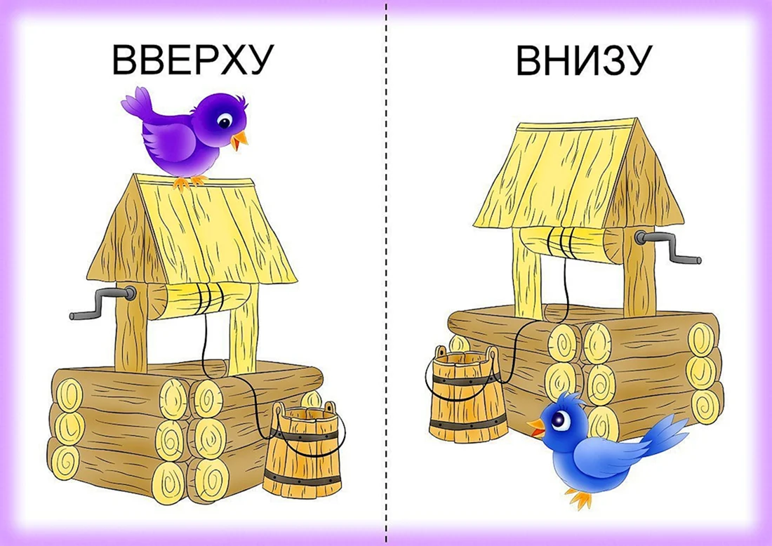 Вверху внизу задания для дошкольников