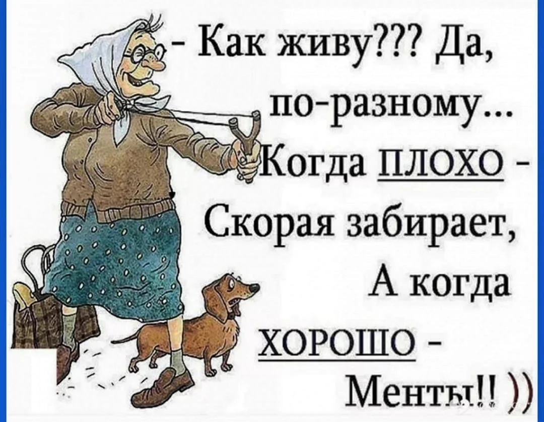 Высказывания смешные и прикольные