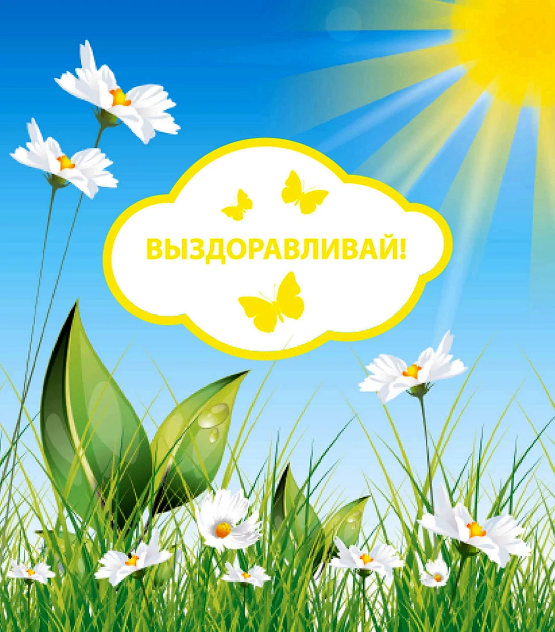 Выздоравливай