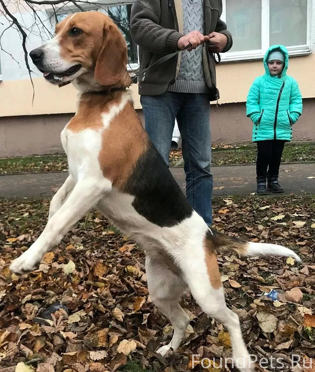 Выжловка