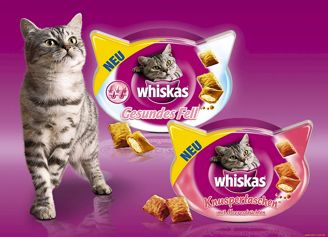 Whiskas лого корм