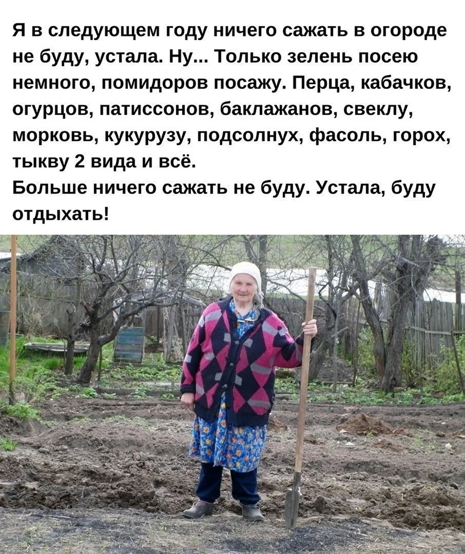 Закрытие дачного сезона
