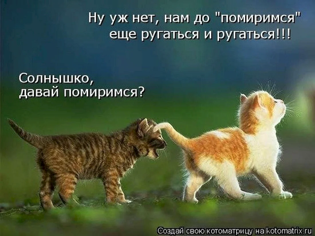 Животные