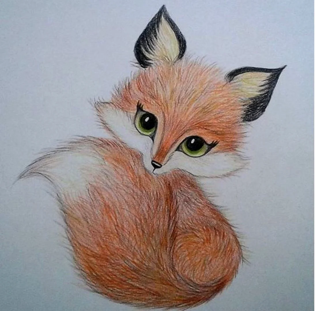 Животные рисунки