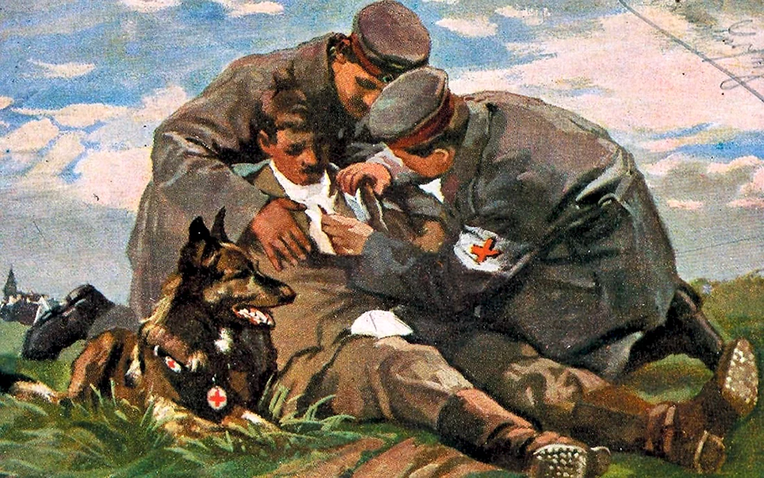 Животные в войне в живописи