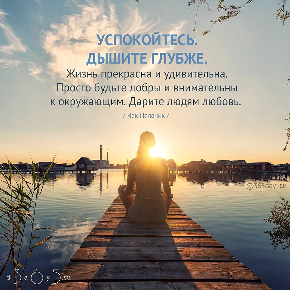 Жизнь прекрасна