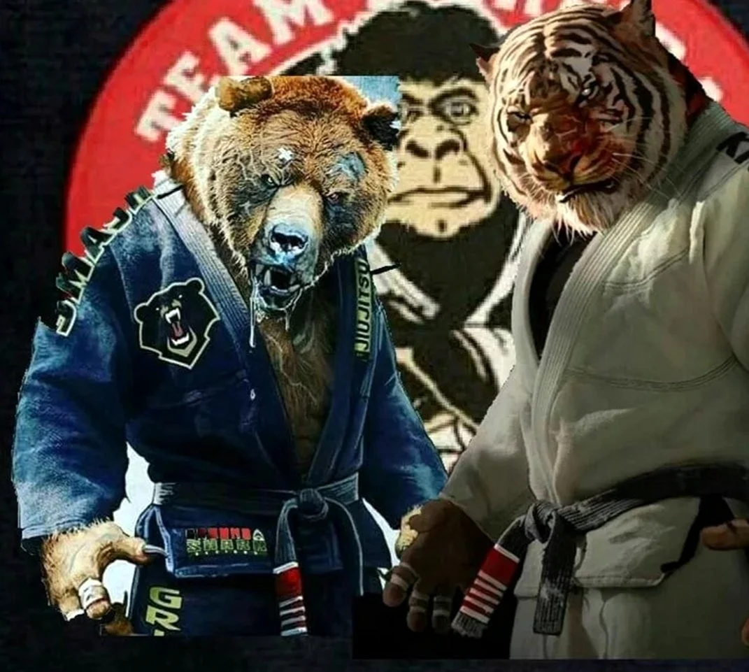 Звери бойцы джиу джитсу