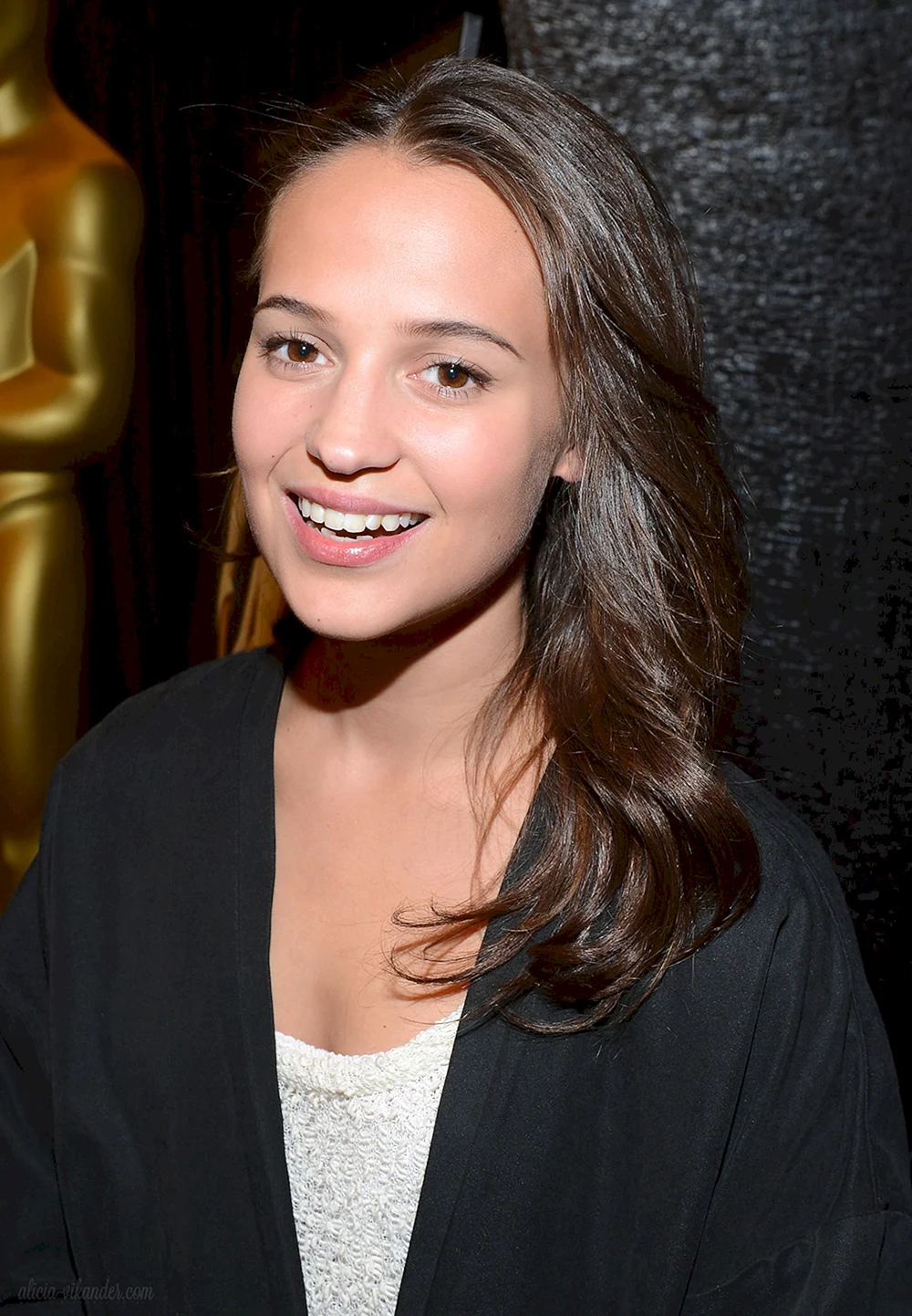 Алисия Викандер Alicia Vikander