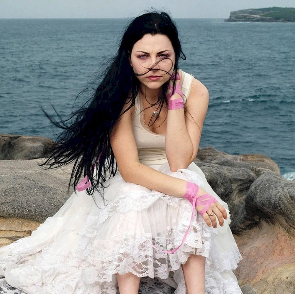 Amy Lee