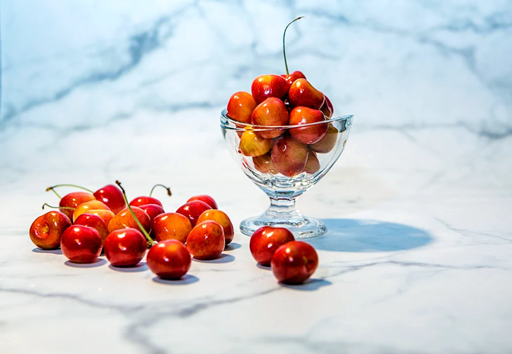 Cherry colorful Holiday