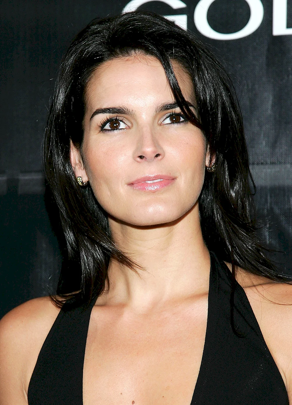 Энджи Хармон Angie Harmon