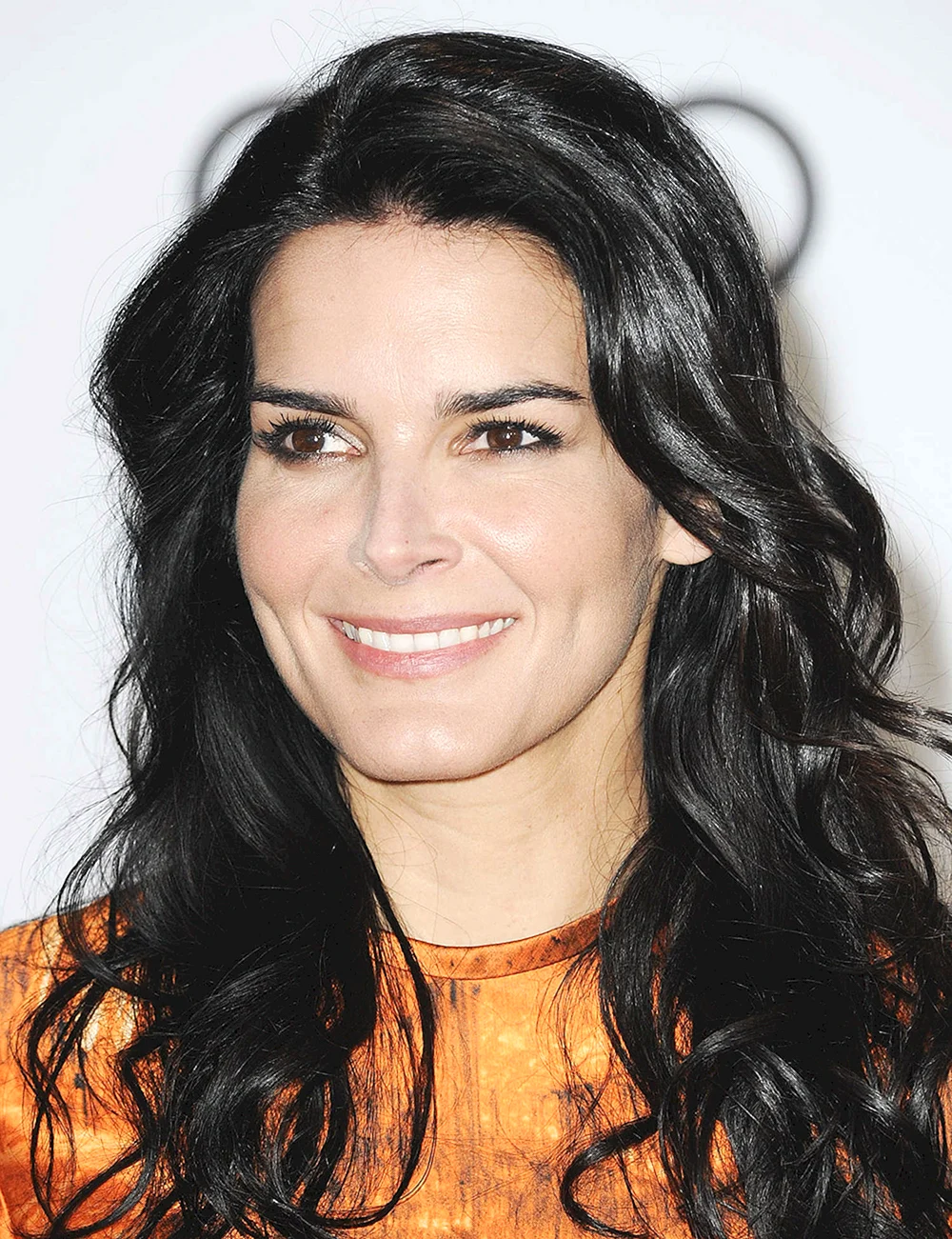 Энджи Хармон Angie Harmon