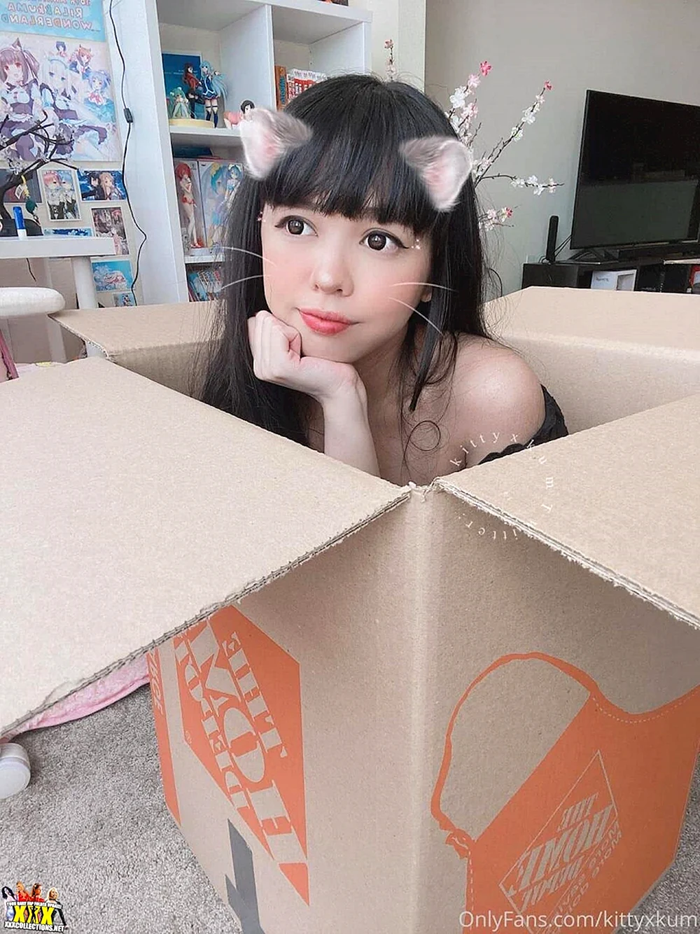Kitty x Kum