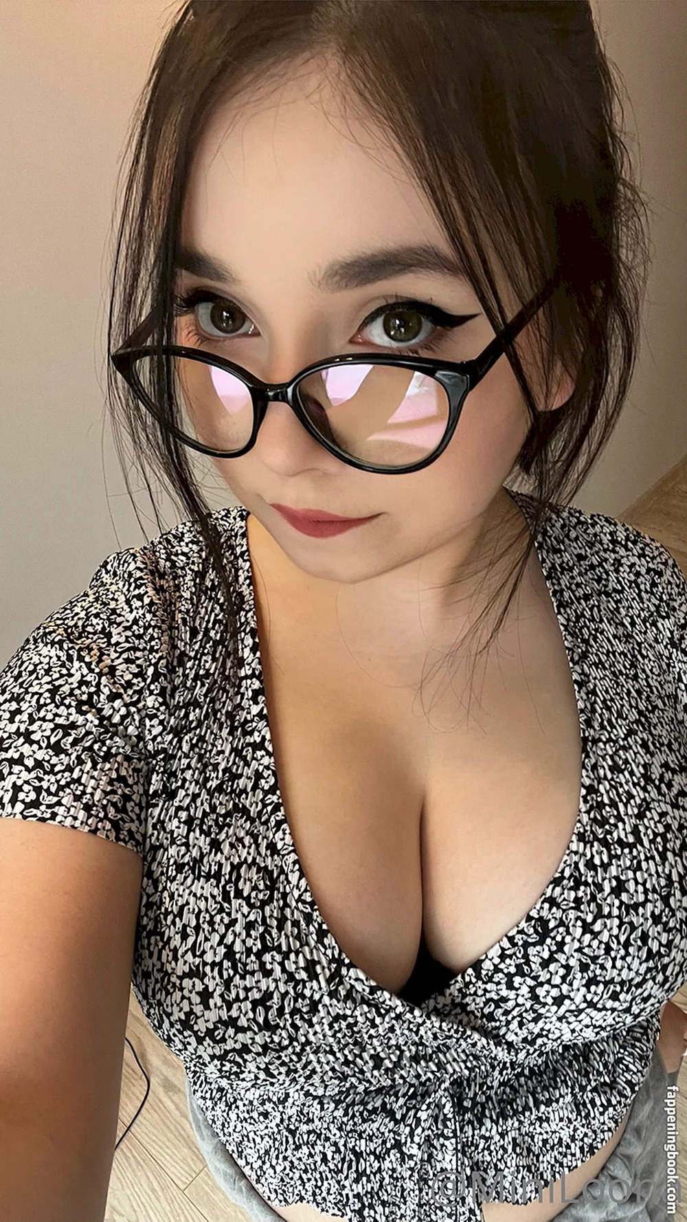 MINILOONA