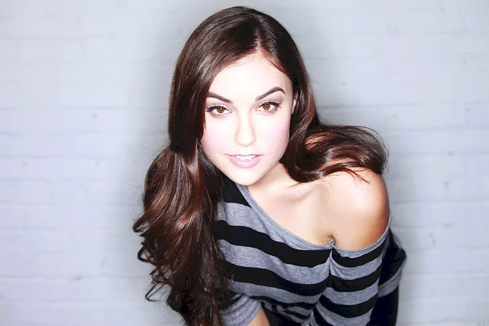 Sasha XRAY