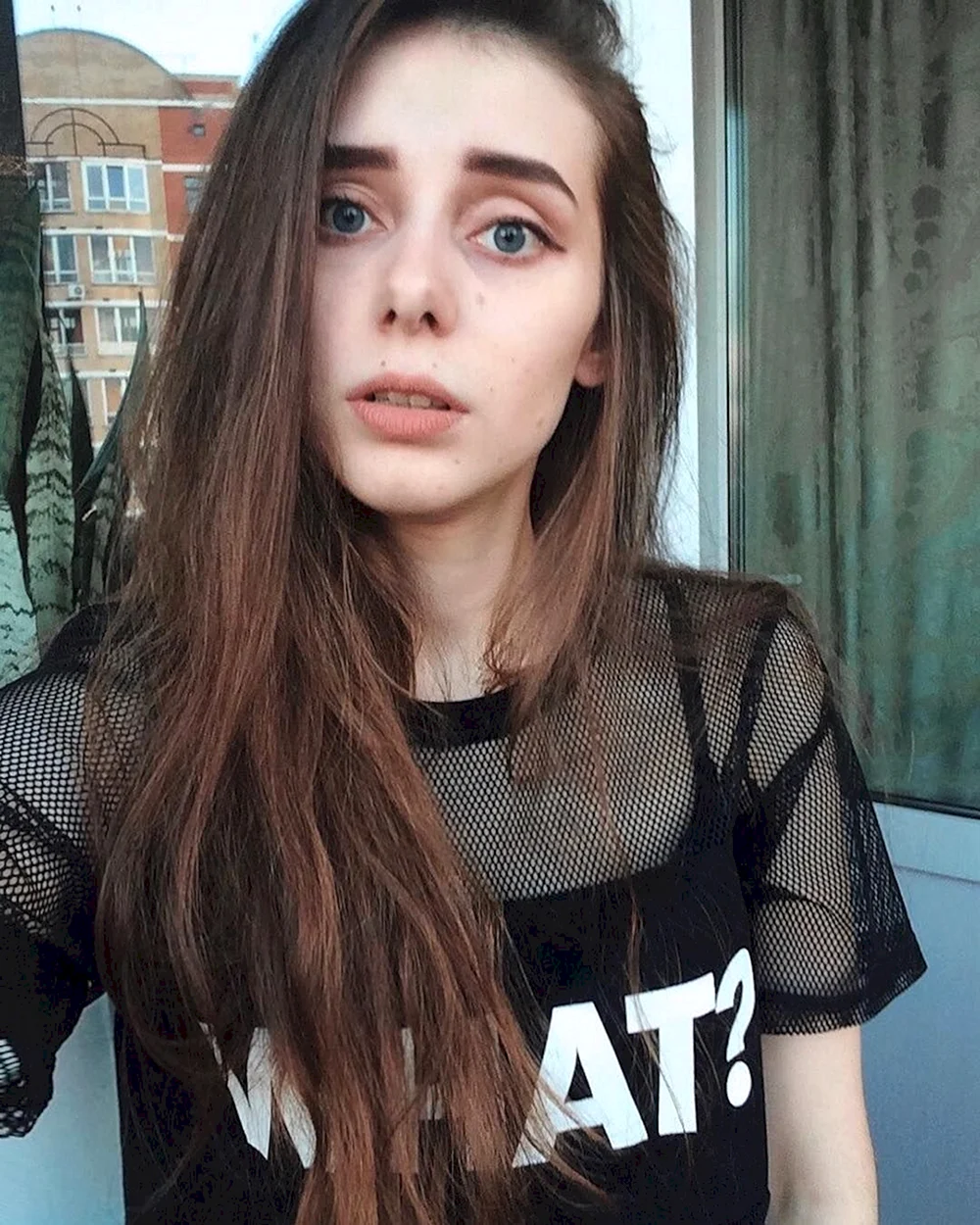Света Солар