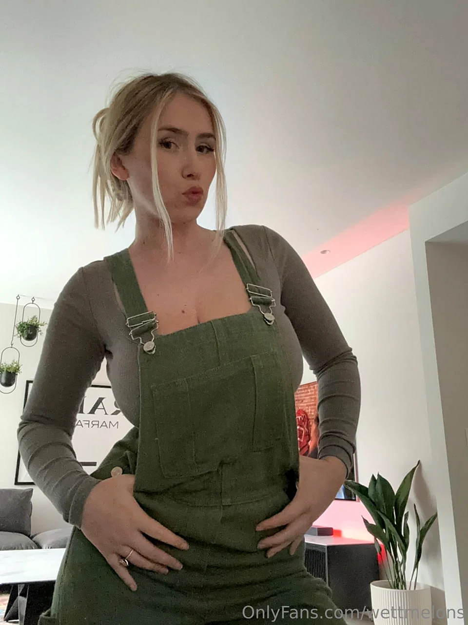 Wettmelons слив